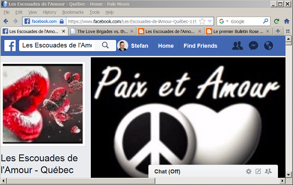 Page d'accueil Facebook des Escouades de l'Amour.